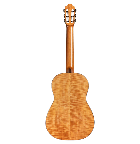 2014 Cordoba Guitars Master Series "Torres" SP/MP