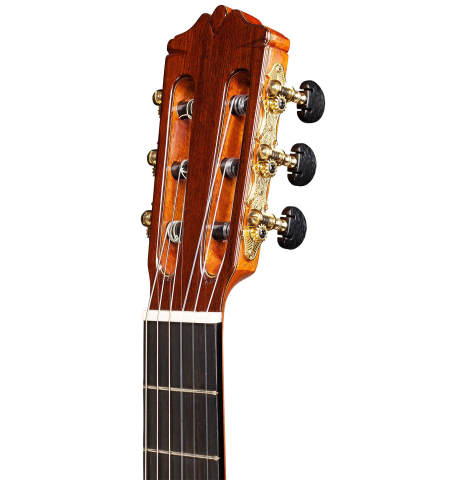 Cordoba "C12 Limited" SP/AR
