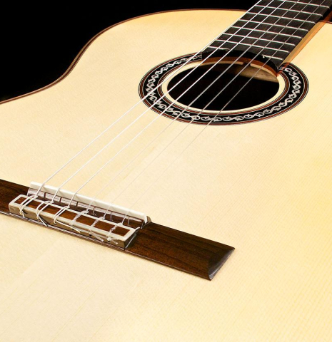 Cordoba "C12 Limited" SP/AR