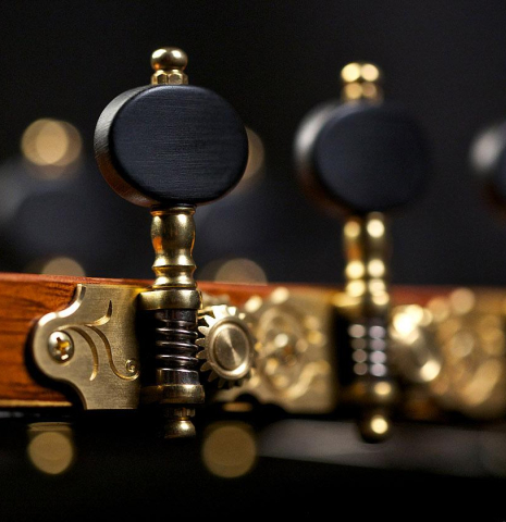 2016 Paolo Coriani "1952 Hauser I/II" SP/CSAR