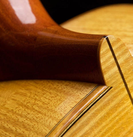 The back and heel of a 2018 Paolo Coriani 1907 Enrique Garcia copy classical guitar made of spruce and maple