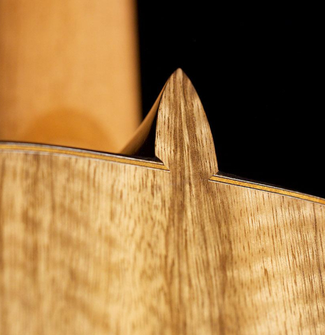 The back and heel of a 2020 Luis Fernandez de Cordoba classical guitar made of spruce and black limba wood.