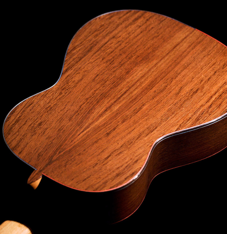 The back of a 2022 Luis Fernandez de Cordoba "Tricolor" made of cedar and wenge