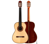 Cordoba "20th Anniversary" SP/AR