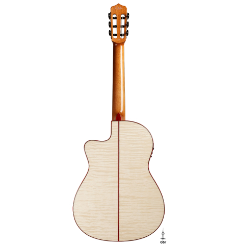 The back of a Cordoba Guitars "Fusion 12 White Sands" classical crossover guitar made of spruce and maple