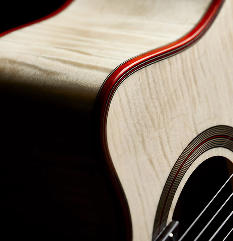 The soundboard and side of a Cordoba Guitars "Fusion 12 White Sands" classical crossover guitar made of spruce and maple