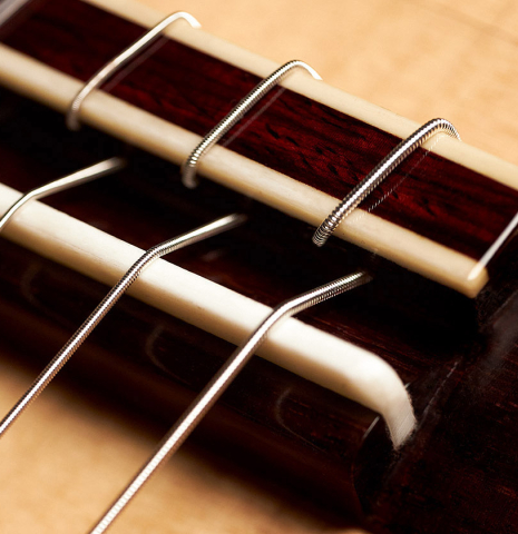 The tie block of a 2023 Andy Culpepper classical guitar made with cedar top and cocobolo back and sides.