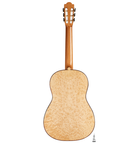 The back of a 2025 Francesco De Gregorio "Torres, SE 111" classical guitar made of spruce and maple