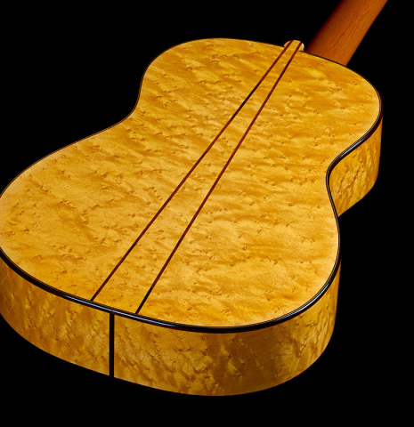 The back and sides of a 2025 Francesco De Gregorio "Torres, SE 111" classical guitar made of spruce and maple