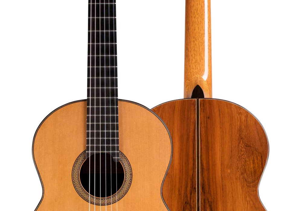 2013 Dominique Delarue CD/CSAR