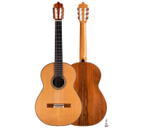 2013 Dominique Delarue CD/CSAR