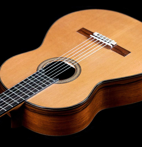 2013 Dominique Delarue CD/CSAR