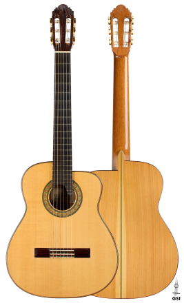 2012 Robert Desmond "cutaway w/electronics" SP/CY