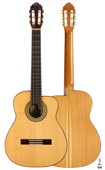 2012 Robert Desmond "cutaway w/electronics" SP/CY