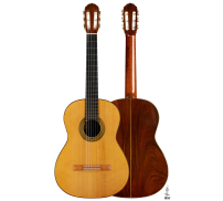 1981 Jeffrey Elliott SP/CSAR