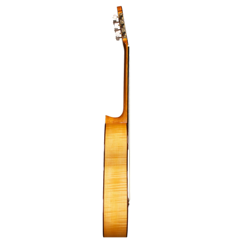 2013 Luis Fernandez de Cordoba SP/MP