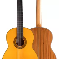 gerundino-fernandez-hijo-negra