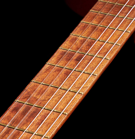 The fretboard and nylon strings of a 1891 Benito Ferrer historical classical guitar