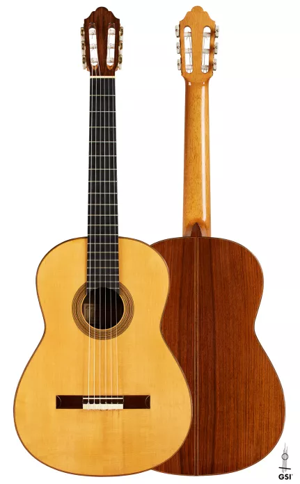 2025 Dominique Field SP/CSAR Guitar | GSI