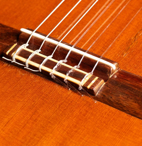 The bridge of a 1968 Ignacio Fleta classical guitar made of cedar and Indian rosewood