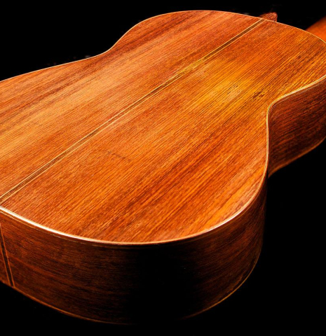 The back and sides of a 1969 Daniel Friederich classical guitar made of spruce and CSA rosewood