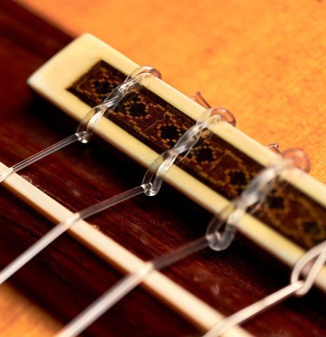 The bridge, saddle and nylon strings of a 1965 Daniel Friederich classical guitar made of spruce and CSA rosewood
