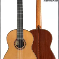 2024 Darío García CD/AR Guitar | GSI