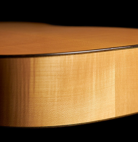 The lower bout of a 1991 Gioachino Giussani classical guitar made of spruce and maple.