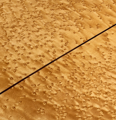 The heel, back binding and purfling of a 2025 Yulong Guo "Torres SE 124" classical guitar made of spruce and maple