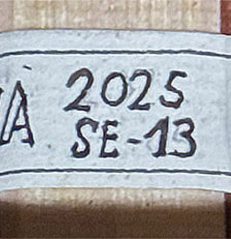The label of a 2025 Miguel Angel Gutierrez "REG 2025" classical guitar made of cedar and padauk