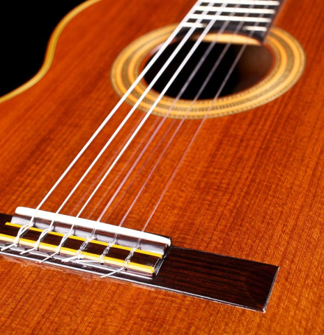 1973 Hermann Hauser II RW/CSAR