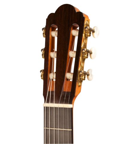 2010 Hermann Hauser III SP/MP