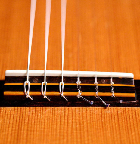 1963 Hermann Hauser II SP/CSAR