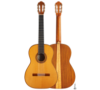 2002 Hermann Hauser III SP/PF