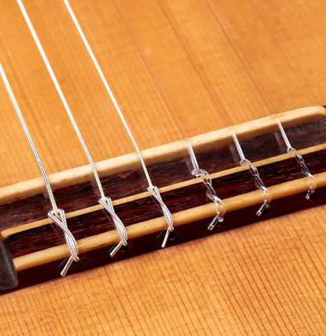 The bridge and saddle of a 1918 Santos Hernandez classical guitar made with spruce and csa rosewood