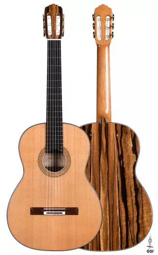 2021 Stephen Hill CD/EE Guitar | GSI 2021 Stephen Hill CD/EE Guitar | GSI