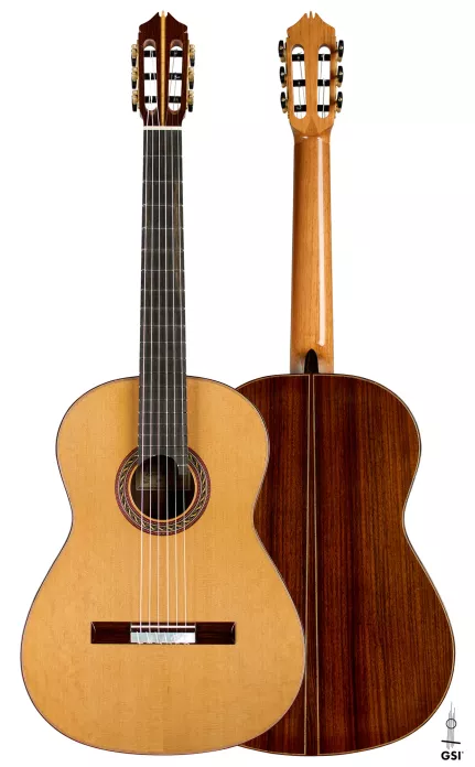 hts guitar Tele Swinger コリーナ プロトモデル hts guitar Tele Swinger コリーナ プロトモデル - メルカリ