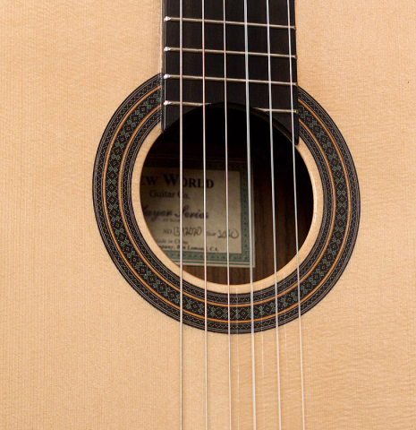 2020 "New World" by Hill Guitar Company "PS 640" SP/IN