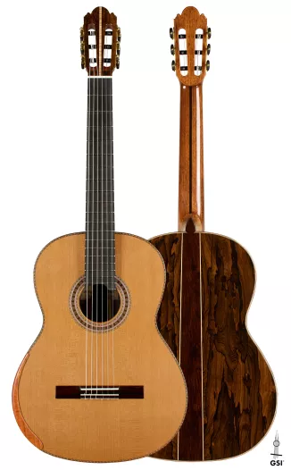 ギター senryo1365 ギター senryo1365 ギター senryo1365 SWITCH Custom Guitars