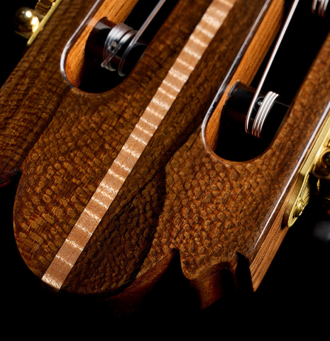 The headstock veneer with maple inlay of a 2026 Wolfgang Jellinghaus "Signature CD/CD" classical guitar made of cedar and ziricote