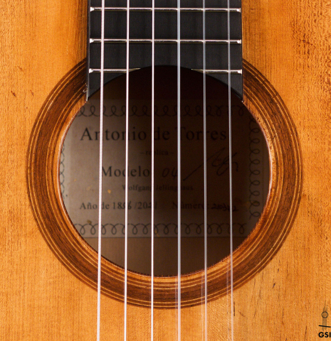 The rosette of a Wolfgang Jellinghaus “La Leona FE 04” made of spruce and cypress