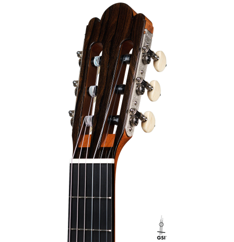 The headstock of a Wolfgang Jellinghaus “La Leona FE 04” made of spruce and cypress