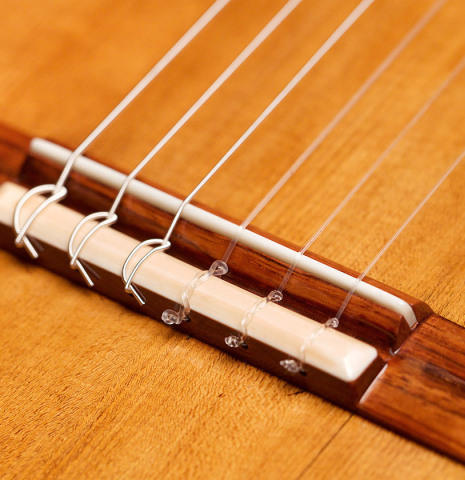 The bridge, tie-block and saddle of a Wolfgang Jellinghaus “La Leona FE 04” made of spruce and cypress
