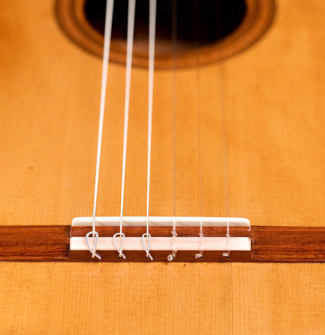 This is the bridge, saddle and soundboard of a 2022 Wolfgang Jellinghaus &quot;Torres 77&quot; classical guitar