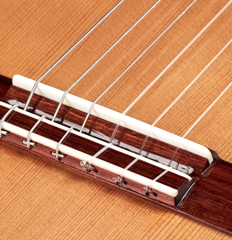 The bridge and saddle of a Wolfgang Jellinghaus "1912 Ex-Segovia" classical guitar made of cedar and Pau Ferro.