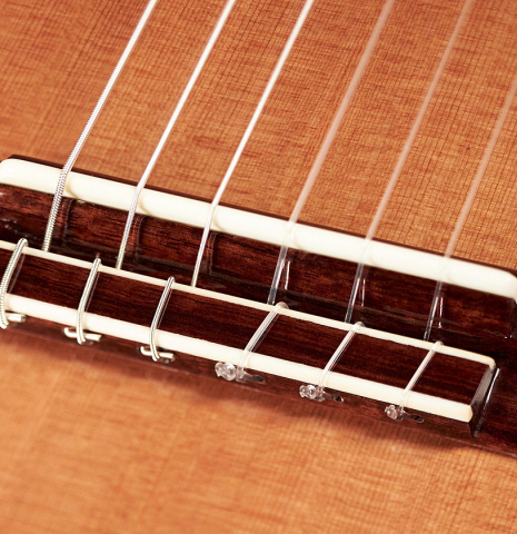 The bridge and saddle of a Wolfgang Jellinghaus "1912 Ex-Segovia 640" classical guitar made of cedar and Pau Ferro.