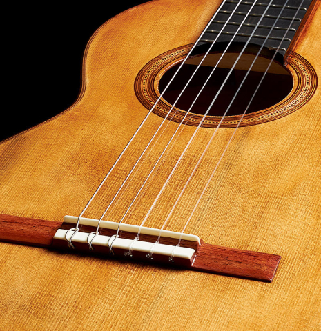 This is the bridge and soundboard of a Wolfgang Jellinghaus "Torres 77" classical guitar made of spruce and maple