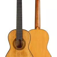 hts guitar Tele Swinger コリーナ プロトモデル hts guitar Tele Swinger コリーナ プロトモデル hts guitar