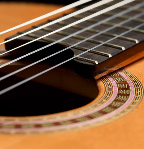 The elevated fingerboard of a 2025 Wolfgang Jellinghaus "Signature CD/SP" classical guitar made of cedar/spruce and ziricote