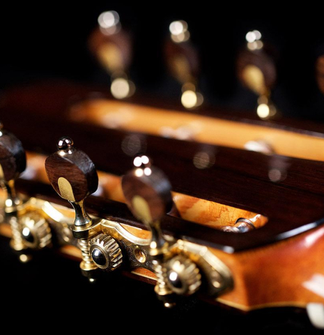 2017 Luiz Keller "8-String" SP/CSAR